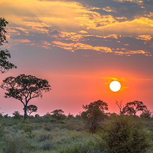 Escape To Marloth Park