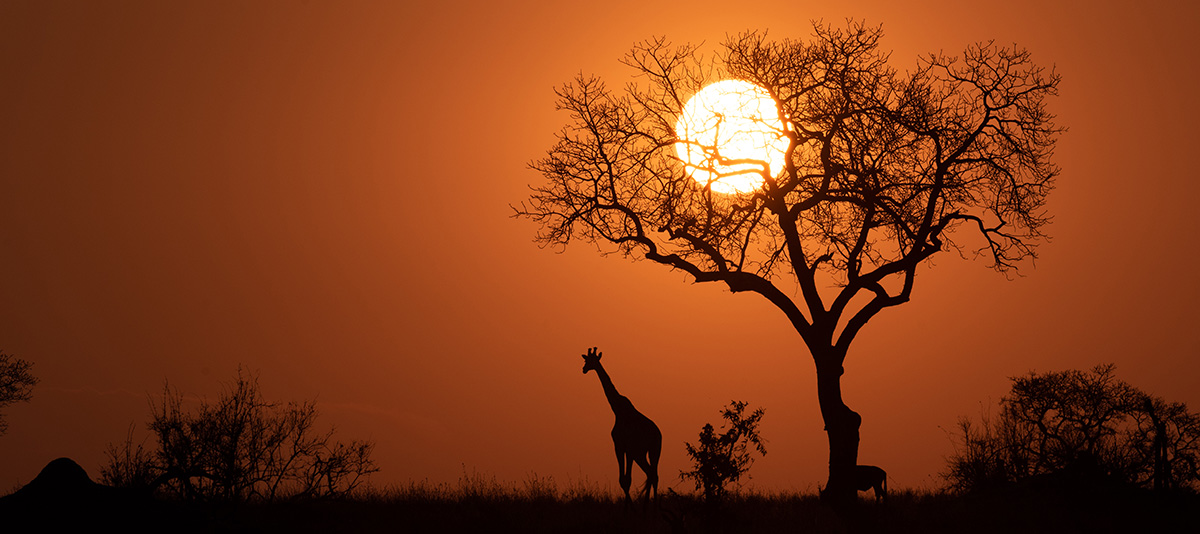 Sunset in Africa