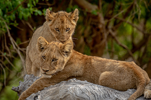 Unlocking the Romance: A Guide to a Memorable Weekend Getaway at Ungava Retreat